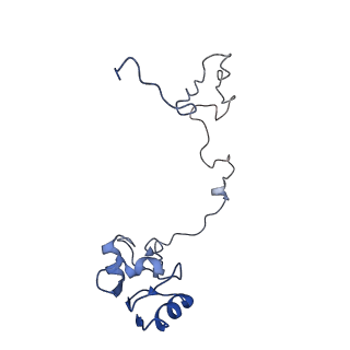 20304_6pcq_L_v1-2
E. coli 50S ribosome bound to VM2