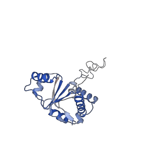 20304_6pcq_M_v1-2
E. coli 50S ribosome bound to VM2