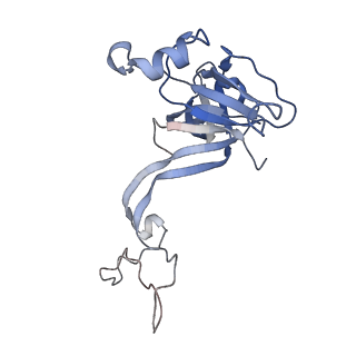 20304_6pcq_N_v1-2
E. coli 50S ribosome bound to VM2
