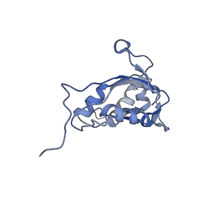 20304_6pcq_O_v1-2
E. coli 50S ribosome bound to VM2