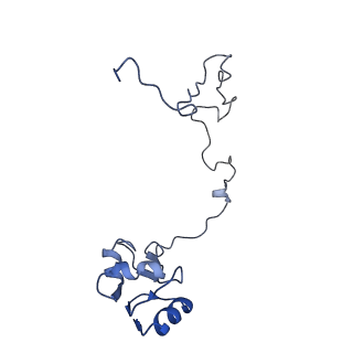 20305_6pcr_L_v1-2
E. coli 50S ribosome bound to compound 40o