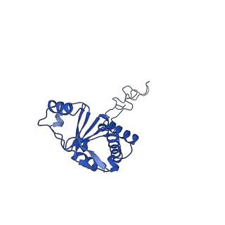 20305_6pcr_M_v1-2
E. coli 50S ribosome bound to compound 40o