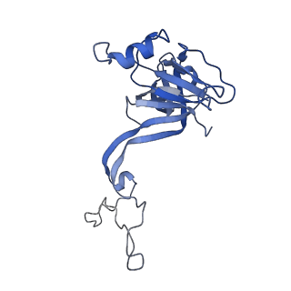 20305_6pcr_N_v1-2
E. coli 50S ribosome bound to compound 40o