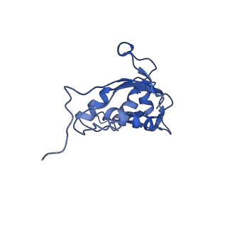 20305_6pcr_O_v1-2
E. coli 50S ribosome bound to compound 40o