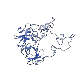 20306_6pcs_K_v1-2
E. coli 50S ribosome bound to compound 40e