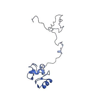 20306_6pcs_L_v1-2
E. coli 50S ribosome bound to compound 40e