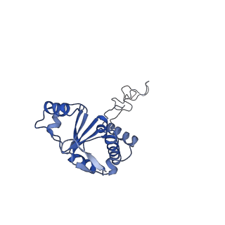 20306_6pcs_M_v1-2
E. coli 50S ribosome bound to compound 40e