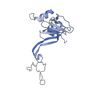 20306_6pcs_N_v1-2
E. coli 50S ribosome bound to compound 40e