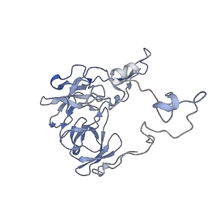 20307_6pct_K_v1-2
E. coli 50S ribosome bound to compound 41q