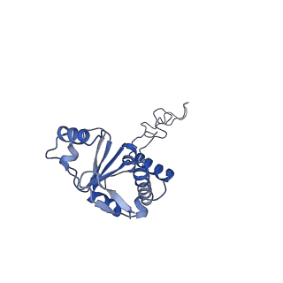 20307_6pct_M_v1-2
E. coli 50S ribosome bound to compound 41q