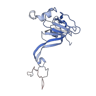 20307_6pct_N_v1-2
E. coli 50S ribosome bound to compound 41q