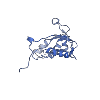 20307_6pct_O_v1-2
E. coli 50S ribosome bound to compound 41q
