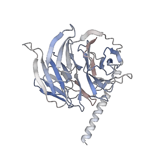 20308_6pcv_B_v1-2
Single Particle Reconstruction of Phosphatidylinositol (3,4,5) trisphosphate-dependent Rac exchanger 1 bound to G protein beta gamma subunits