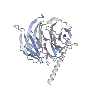 20308_6pcv_B_v1-3
Single Particle Reconstruction of Phosphatidylinositol (3,4,5) trisphosphate-dependent Rac exchanger 1 bound to G protein beta gamma subunits