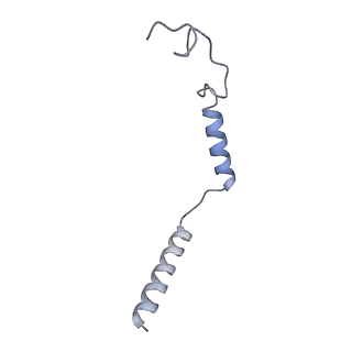 20308_6pcv_G_v1-3
Single Particle Reconstruction of Phosphatidylinositol (3,4,5) trisphosphate-dependent Rac exchanger 1 bound to G protein beta gamma subunits