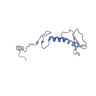 13329_7pd3_0_v1-0
Structure of the human mitoribosomal large subunit in complex with NSUN4.MTERF4.GTPBP7 and MALSU1.L0R8F8.mt-ACP