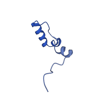 13329_7pd3_2_v1-0
Structure of the human mitoribosomal large subunit in complex with NSUN4.MTERF4.GTPBP7 and MALSU1.L0R8F8.mt-ACP