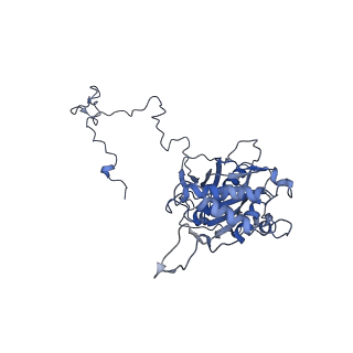 13329_7pd3_5_v1-0
Structure of the human mitoribosomal large subunit in complex with NSUN4.MTERF4.GTPBP7 and MALSU1.L0R8F8.mt-ACP