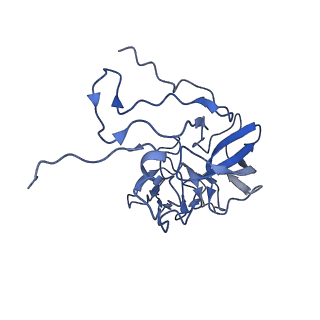 13329_7pd3_D_v1-0
Structure of the human mitoribosomal large subunit in complex with NSUN4.MTERF4.GTPBP7 and MALSU1.L0R8F8.mt-ACP