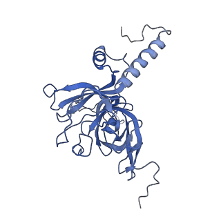 13329_7pd3_E_v1-0
Structure of the human mitoribosomal large subunit in complex with NSUN4.MTERF4.GTPBP7 and MALSU1.L0R8F8.mt-ACP