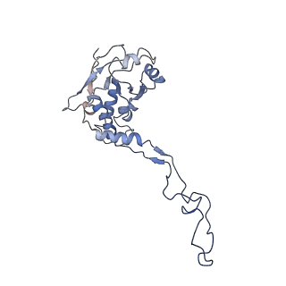 13329_7pd3_F_v1-0
Structure of the human mitoribosomal large subunit in complex with NSUN4.MTERF4.GTPBP7 and MALSU1.L0R8F8.mt-ACP