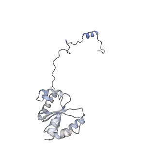13329_7pd3_G_v1-0
Structure of the human mitoribosomal large subunit in complex with NSUN4.MTERF4.GTPBP7 and MALSU1.L0R8F8.mt-ACP