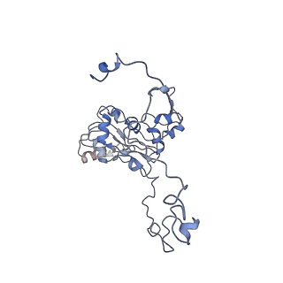 13329_7pd3_M_v1-0
Structure of the human mitoribosomal large subunit in complex with NSUN4.MTERF4.GTPBP7 and MALSU1.L0R8F8.mt-ACP