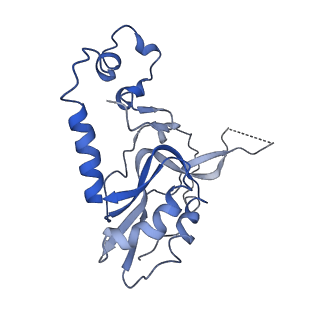 13329_7pd3_N_v1-0
Structure of the human mitoribosomal large subunit in complex with NSUN4.MTERF4.GTPBP7 and MALSU1.L0R8F8.mt-ACP