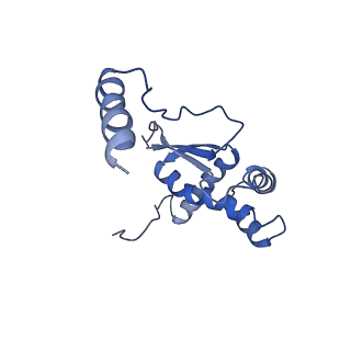 13329_7pd3_O_v1-0
Structure of the human mitoribosomal large subunit in complex with NSUN4.MTERF4.GTPBP7 and MALSU1.L0R8F8.mt-ACP