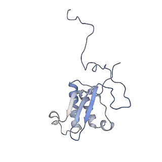 13329_7pd3_P_v1-0
Structure of the human mitoribosomal large subunit in complex with NSUN4.MTERF4.GTPBP7 and MALSU1.L0R8F8.mt-ACP