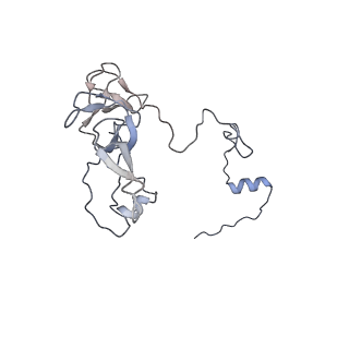 13329_7pd3_V_v1-0
Structure of the human mitoribosomal large subunit in complex with NSUN4.MTERF4.GTPBP7 and MALSU1.L0R8F8.mt-ACP