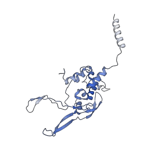 13329_7pd3_X_v1-0
Structure of the human mitoribosomal large subunit in complex with NSUN4.MTERF4.GTPBP7 and MALSU1.L0R8F8.mt-ACP