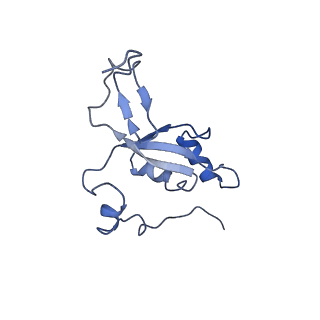 13329_7pd3_Z_v1-0
Structure of the human mitoribosomal large subunit in complex with NSUN4.MTERF4.GTPBP7 and MALSU1.L0R8F8.mt-ACP
