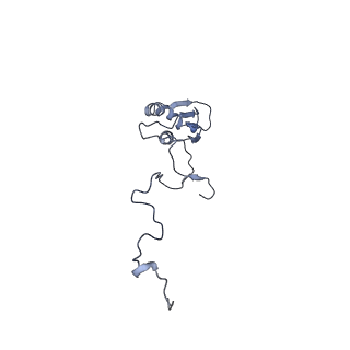 13329_7pd3_b_v1-0
Structure of the human mitoribosomal large subunit in complex with NSUN4.MTERF4.GTPBP7 and MALSU1.L0R8F8.mt-ACP