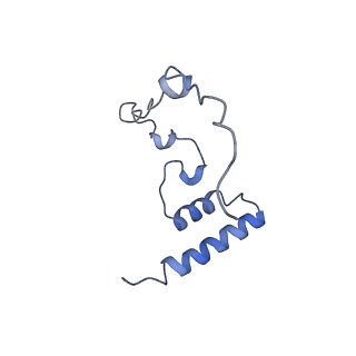 13329_7pd3_i_v1-0
Structure of the human mitoribosomal large subunit in complex with NSUN4.MTERF4.GTPBP7 and MALSU1.L0R8F8.mt-ACP