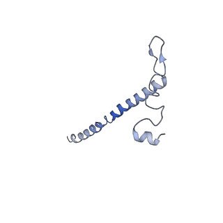 13329_7pd3_j_v1-0
Structure of the human mitoribosomal large subunit in complex with NSUN4.MTERF4.GTPBP7 and MALSU1.L0R8F8.mt-ACP
