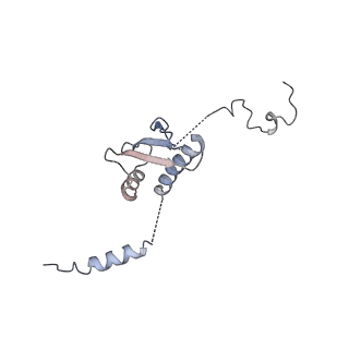 13329_7pd3_p_v1-0
Structure of the human mitoribosomal large subunit in complex with NSUN4.MTERF4.GTPBP7 and MALSU1.L0R8F8.mt-ACP