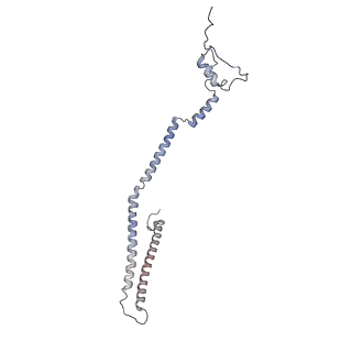 13329_7pd3_q_v1-0
Structure of the human mitoribosomal large subunit in complex with NSUN4.MTERF4.GTPBP7 and MALSU1.L0R8F8.mt-ACP