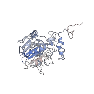 13329_7pd3_x_v1-0
Structure of the human mitoribosomal large subunit in complex with NSUN4.MTERF4.GTPBP7 and MALSU1.L0R8F8.mt-ACP