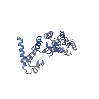 13329_7pd3_y_v1-0
Structure of the human mitoribosomal large subunit in complex with NSUN4.MTERF4.GTPBP7 and MALSU1.L0R8F8.mt-ACP