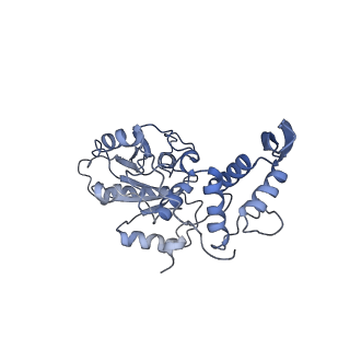 13329_7pd3_z_v1-0
Structure of the human mitoribosomal large subunit in complex with NSUN4.MTERF4.GTPBP7 and MALSU1.L0R8F8.mt-ACP