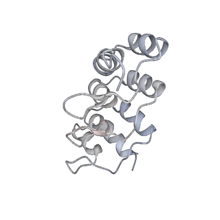 13331_7pd8_B_v1-2
Structure of Adenylyl cyclase 9 in complex with DARPin C4 and MANT-GTP