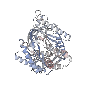 13334_7pdd_A_v1-2
Focus refinement of soluble domain of Adenylyl cyclase 9 in complex with DARPin C4 and MANT-GTP