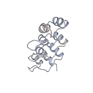 13334_7pdd_B_v1-2
Focus refinement of soluble domain of Adenylyl cyclase 9 in complex with DARPin C4 and MANT-GTP