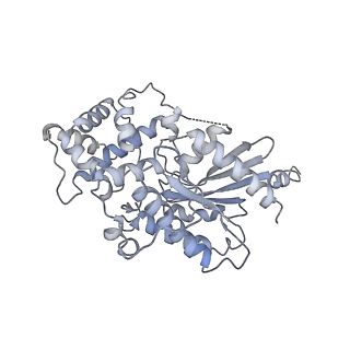 13335_7pde_B_v1-2
Structure of Adenylyl cyclase 9 in complex with Gs protein alpha subunit and MANT-GTP
