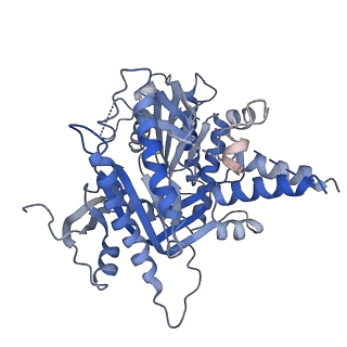13336_7pdf_A_v1-2
focus refinement of soluble domain of adenylyl cyclase 9 in complex with Gs protein alpha subunit and MANT-GTP