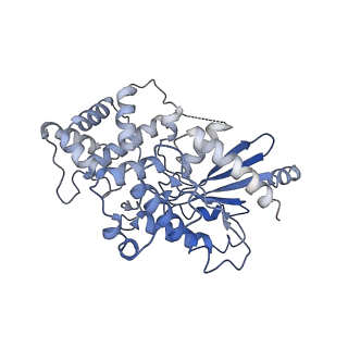 13336_7pdf_B_v1-2
focus refinement of soluble domain of adenylyl cyclase 9 in complex with Gs protein alpha subunit and MANT-GTP
