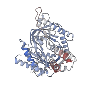 13338_7pdh_A_v1-2
structure of adenylyl cyclase 9 in complex with DARPin C4 and ATP-aS