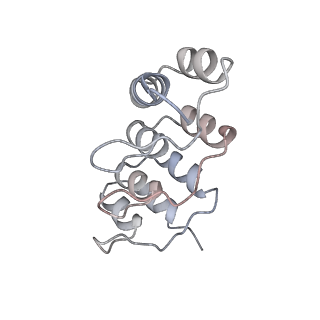 13338_7pdh_B_v1-2
structure of adenylyl cyclase 9 in complex with DARPin C4 and ATP-aS
