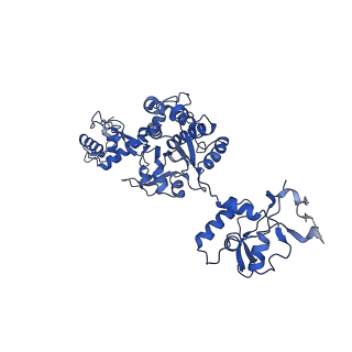 13342_7pds_A_v1-2
The structure of PriRep1 with dsDNA